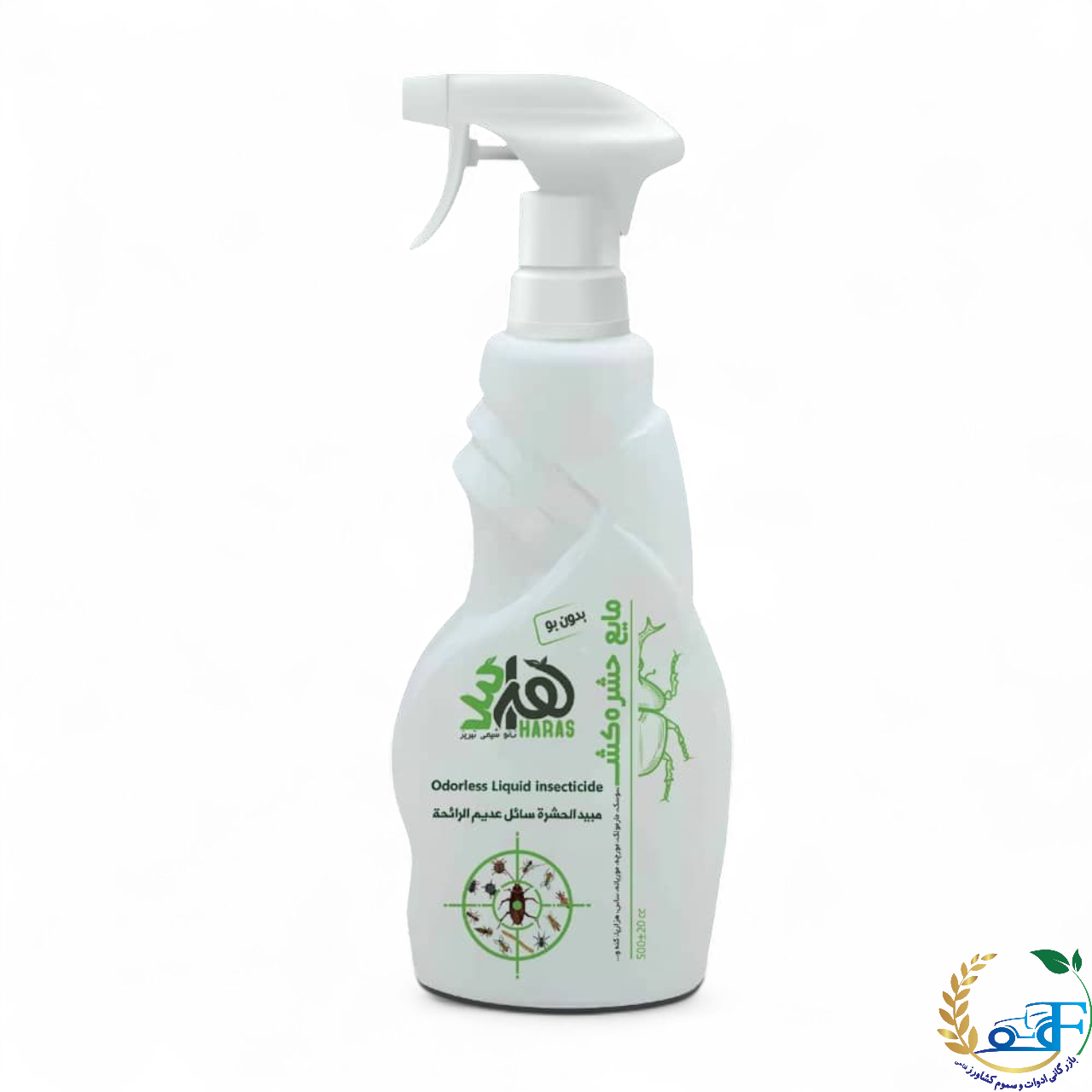 1762538509_IMG_4784 (19).png